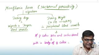 Life cycle of Filarial worm [upl. by Saideman]