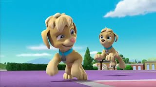 Paw Patrol Clip Mighty Pups Super Paws  Tuck amp Ella Play Tag [upl. by Britni803]