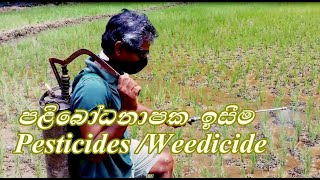 Pesticides  Weedicides  Paliboda Iseema  Kruminashaka Iseema  Walnashaka Iseema [upl. by Vanni]