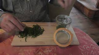 Comment faire un délicieux vinaigre à la salicorne  How to Make Delicious Glasswort Vinegar [upl. by Oileduab274]