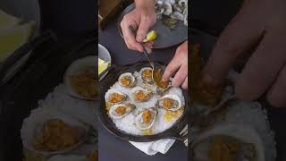 Delicious Oysters Cooked in Pizza Oven cooking [upl. by Esinad]