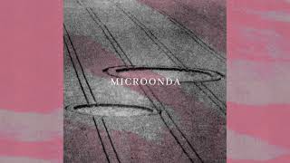 Protistas  Microonda audio oficial [upl. by Deaner]