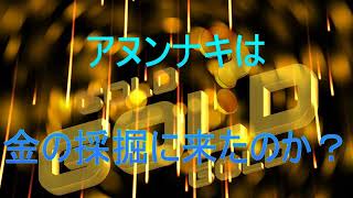 アヌンナキは金の採掘に来たのか？ [upl. by Cherilyn]