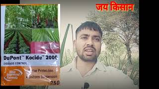 dupont kocide 2000 uses in marathi  कोसाईड 2000 कॉपर हाइड्रोक्साइडajitwavhal अजितवाव्हळ [upl. by Frulla548]