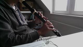 improvisation n 91 for solo tenor recorder [upl. by Brynn601]