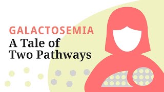 Galactosemia A Tale of Two Pathways—A brief overview of the galactose metabolic pathway [upl. by Irihs]