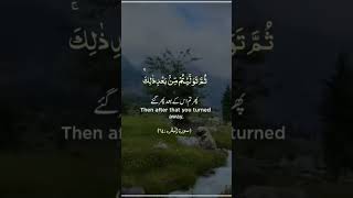 Than after that you turned away  Allah ka Quran ko share karo subcribe My chanel AliBro1114 [upl. by Harrison]