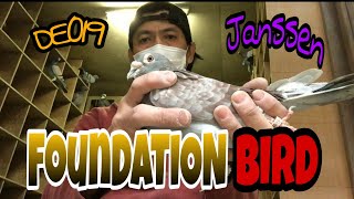 Janssen Line  Foundation Bird [upl. by Alilahk869]