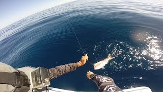 Offshore Fishing From Coffins Bay [upl. by Aicnilav]