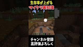 マイクラ知ってると得する裏知識Minecraft アップデート 裏技 [upl. by Wiltshire]