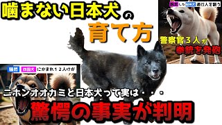 【日本犬のしつけ】噛む犬にしない為の具体的な方法 [upl. by Atiuqiram325]