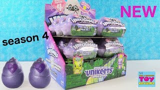 Hatchimals Unikeets Season 4 Special Edition 2 Pack Full Box Opening  PSToyReviews [upl. by Ylloh]