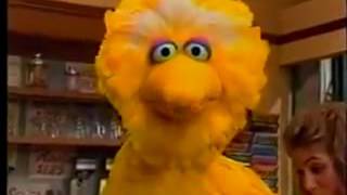 Sesame Street Big Bird Tries To Help Gina New HD [upl. by Aphrodite]