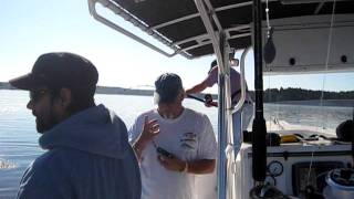 St Andrews Sport Fishing Co Island Quest Marine  Shark Fishing  Huge Porbeagle Sharks [upl. by Annoed]