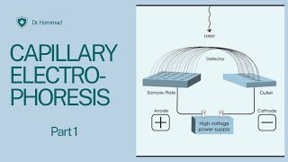 Capillary Electrophoresis introduction instrumentation  working and applications [upl. by Jenette106]