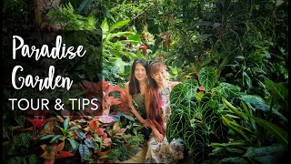 SUPER LUSH Tropical Garden TOUR amp 12 Plant Care Tips with Junie Lee 1000 plants [upl. by Chadd]