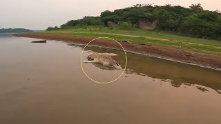 DÁ MEDO MORTO IMAGINA VIVO MAIS UMA PESCARIA NO AMAZONAS [upl. by Rawdon772]