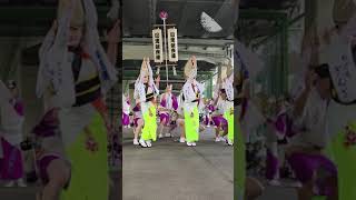 This is MeguroGinza ren😊 Awa Odori festival in Shirokanetakanawa Tokyo 20240714【目黒銀座連】第13回 白金阿波踊り [upl. by Neerehs]