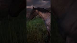 RDR2 • Blue Roan Missouri Fox Trotter in Guarma • Red Dead Redemption 2 [upl. by Nnyleuqaj]