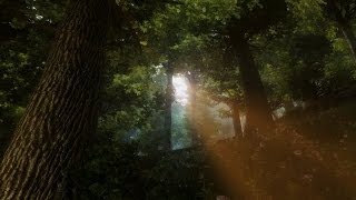 Oblivion 2017  The Great Forest  Modlist link is in the description [upl. by Gwendolyn]