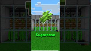 Easy Sugarcane Farm For Minecraft 121 🔥 [upl. by Eelyam581]