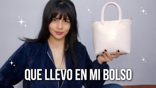 Que llevo en mi bolso diario  Alejandra St [upl. by Zusman]