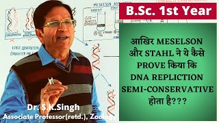 Meselson amp Stahls Experiment to Prove DNAReplication Is SemiConservative  BSc amp MSc Level [upl. by Auop]