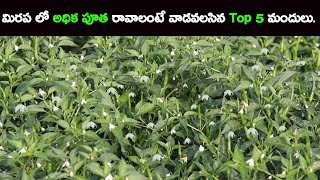 మిరప లో అధిక పూత కాయ కోసం వాడవలసిన మందులు  Best flower booster for chilli Flowering in Chilli Crop [upl. by Htaras]