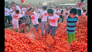 Tomato Festival in Spain  La Tomatina Festival Spain Bunol [upl. by Oremodlab354]