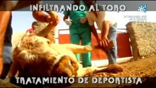 CURA A UN TORO BRAVO DE UNA INFLAMACION DE RODILLA [upl. by Neddie]