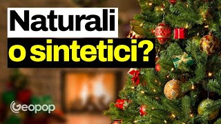 Albero di Natale vero o finto quale ha il minor impatto ambientale La risposta non è scontata [upl. by Herminia]