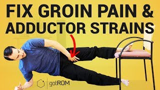 THE COPENHAGEN EXERCISE Fix Hip Pain amp Groin Strains [upl. by Ruphina]