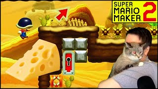 SHELMET CHEESE IN A TOP 5 VIDEO Weekly Top 5 Super Expert 120 SUPER MARIO MAKER 2 [upl. by Siocnarf]