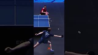 🏓Tiago Apolonia vs Alexis Lebrun A Crazy Rally Ends with an Explosive Smash💥shorts viralvideos [upl. by Warfeld15]