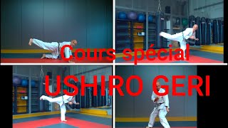 Cours spécifique USHIRO GERI [upl. by Sirehc]