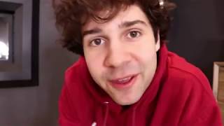 DAVID DOBRIK VLOGS BEST MOMENTS  DECEMBER 2018 [upl. by Lianne]