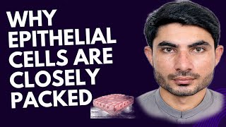 why epithelial cells are clesely packed abdur Rahman official [upl. by Adranoel]