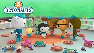 Octonauts Octopod Invasion [upl. by Eddy16]