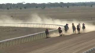 Blackall 20241019 Race 5 [upl. by Eiralc]