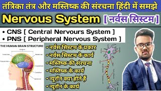 Nervous System in Hindi  CNS Central Nervous System  PNS Peripheral Nervous System  Brain Neuron [upl. by Ressay656]