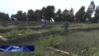 Allevamento di chiocciole in Sicilia dalle lumache un pregiato caviale apprezzato dagli chef [upl. by Audie]