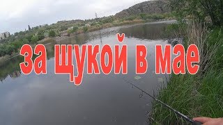 ЗА ЩУКОЙ В МАЕ  РЫБАЛКА В ЗАПРЕТ [upl. by Tiffani]