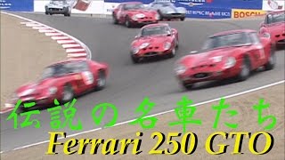 Ferrari 250 GTO One Make Race 総額500 億！？ フェラーリ 250 GTOワンメイクレース [upl. by Schellens]