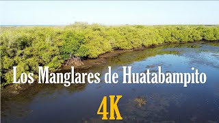 Los Manglares de Huatabampito en DRONE 4K [upl. by Anahsak]