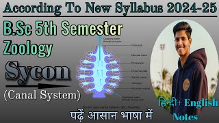 BSc 5th Semester Zoology SYCON Canal Syatem bsczoology biology Letsgraduate [upl. by Jarin]