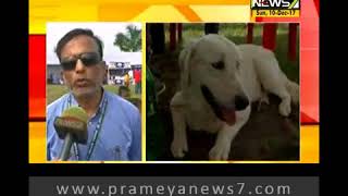 Dog Show at Bhubaneswar SOA ground [upl. by Lada]