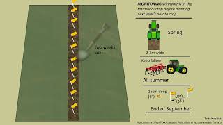 Wireworm Monitoring to Assess their Risk [upl. by Christal]