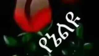 Ethiopian best tizita music [upl. by Vanna]