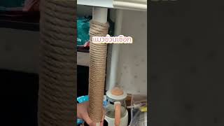 A hemp rope cat scratcher that cat owners should have in 2024 cat แมวpets diy cute cutebaby [upl. by Enyleuqcaj]