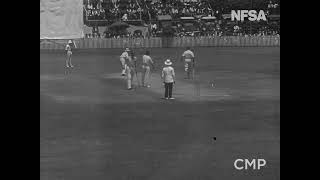 Bodyline test cricket series Don Bradman bowling [upl. by Adela760]